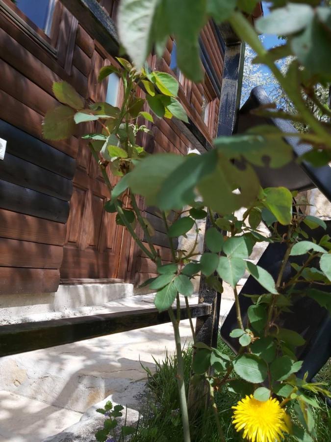 Bungalow 3 With 1 Room Saraybosna Dış mekan fotoğraf