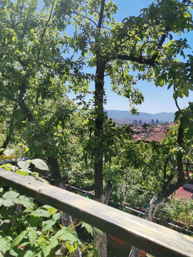Bungalow 3 With 1 Room Saraybosna Dış mekan fotoğraf