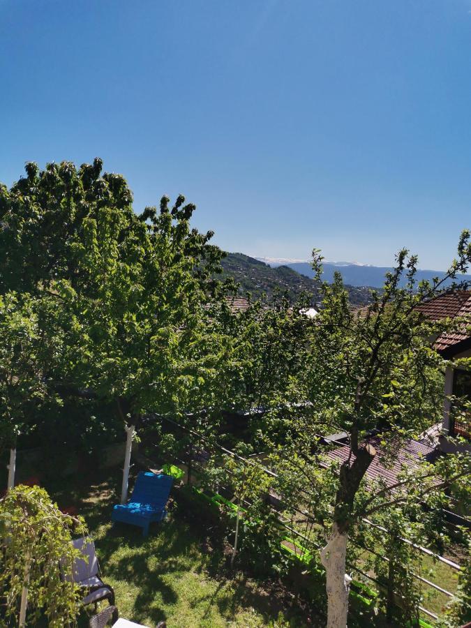 Bungalow 3 With 1 Room Saraybosna Dış mekan fotoğraf