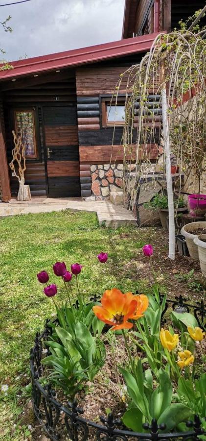 Bungalow 3 With 1 Room Saraybosna Dış mekan fotoğraf